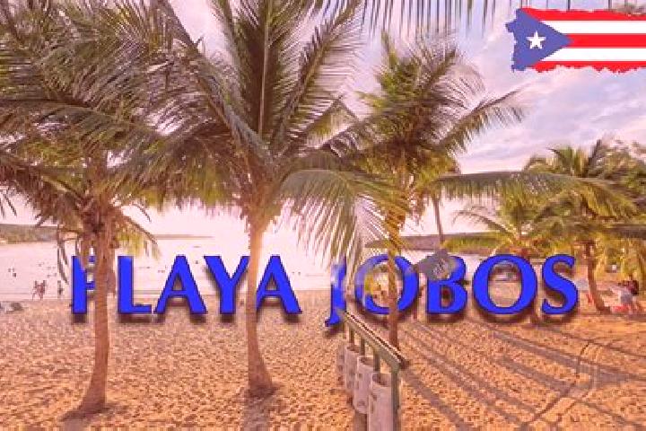 Layla, 39 — Escort in Jobos, Puerto Rico