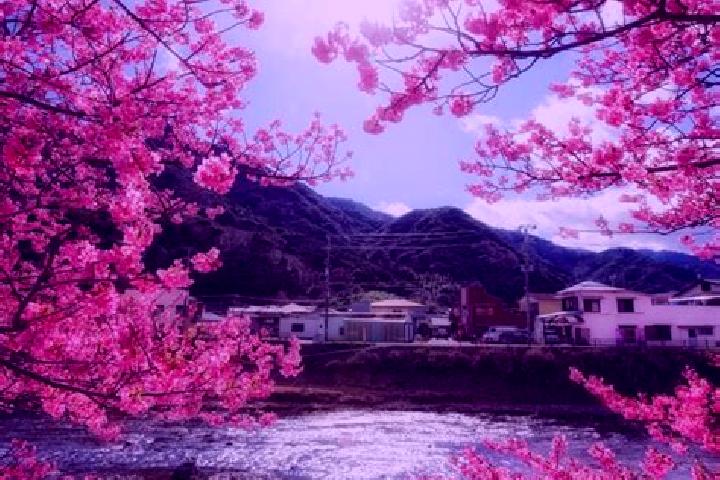 Lillian, 20 — Escort in Kawazu-ikadaba, Japan