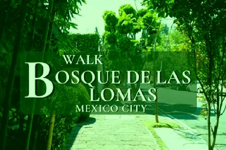 Lillian, 20 — Escort in La Loma, Mexico