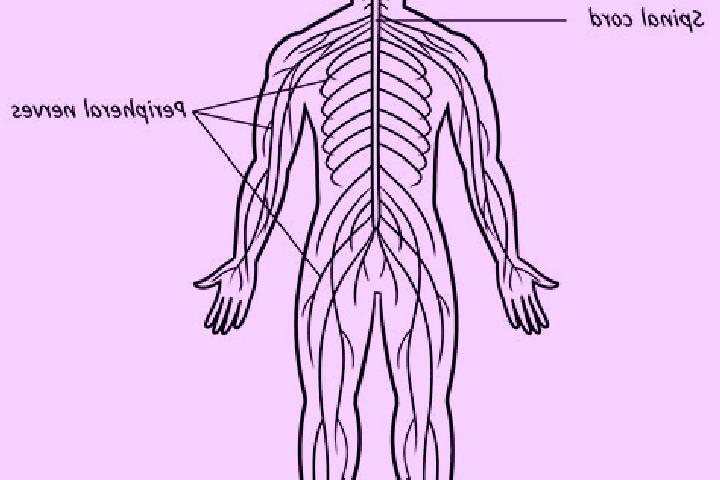Lillian, 20 — Escort in Taxe Nerwa Doskiya, Iraq