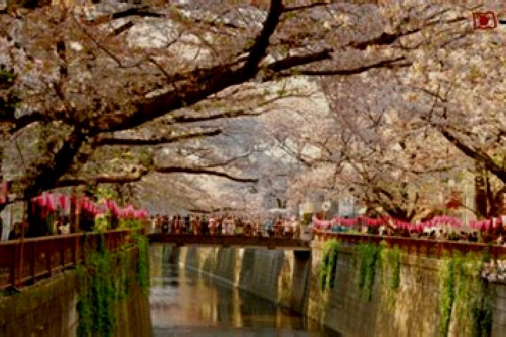 Lillian, 21 — Escort in Itogawa, Japan
