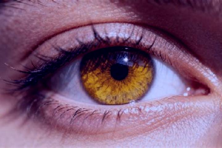 Lillian, 22, a auburn amber-eyed european companion based in El Palmar. Offering Party Girl, BDSM, Prostate Massage. Available for incall and outcall, day an...