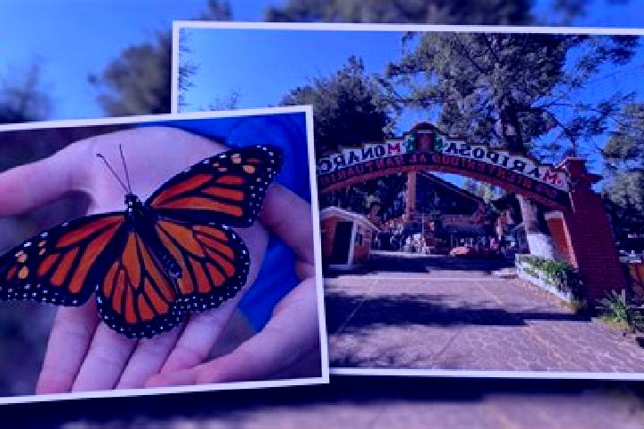 Lillian, 22 — Escort in Ejido el Rosario, Mexico