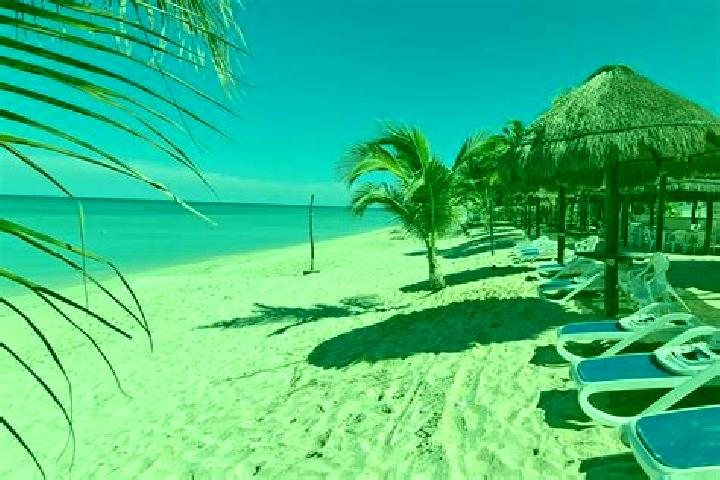 Lillian, 23 — Escort in Bahia Tortugas, Mexico