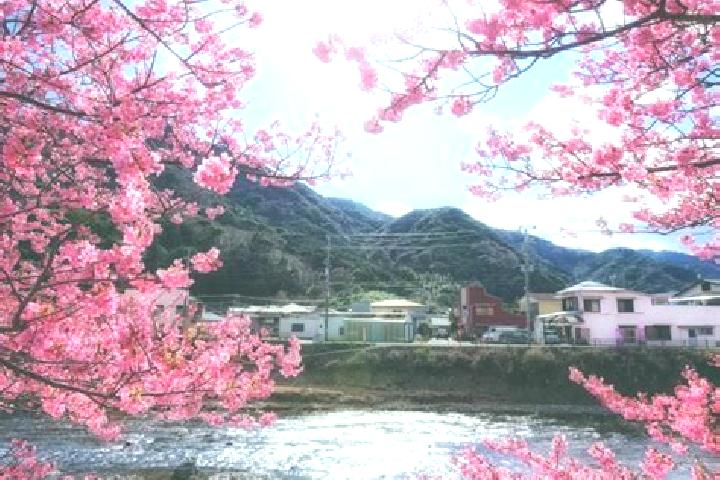 Lillian, 24 — Escort in Kawazu-ikadaba, Japan