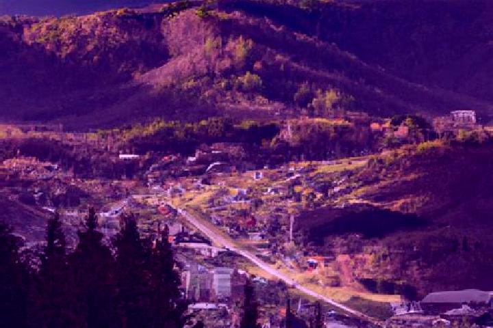 Lillian, 24 — Escort in Roan Mountain, United States