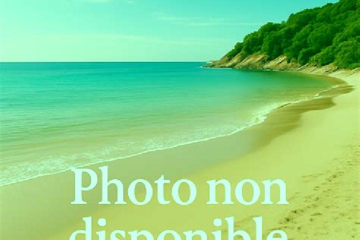 Lillian, 25 — Escort in Oye-Plage, France