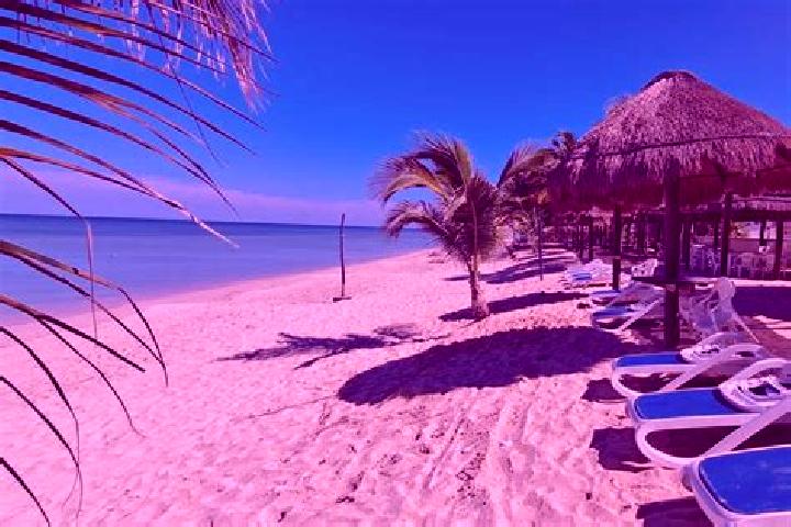 Lillian, 26 — Escort in Bahia Tortugas, Mexico