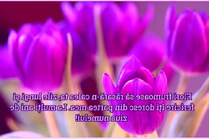 Lillian, 26 — Escort in Sambata, Romania