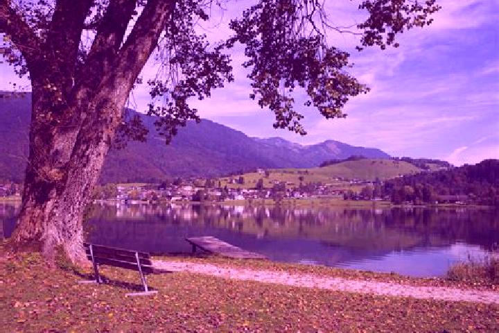 Lillian, 26 — Escort in Vorderthiersee, Austria