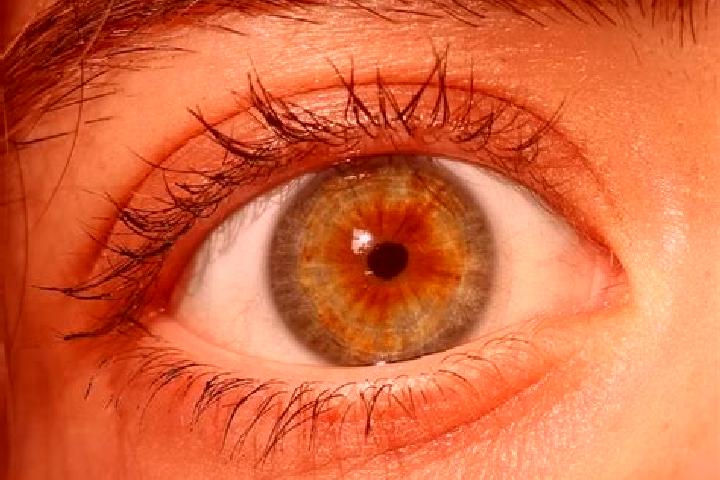 Lillian, 27, a red hazel-eyed mediterranean companion based in Balovne. Offering Travel Companion, OWO, Roleplay, GFE. Available for incall and outcall, day ...