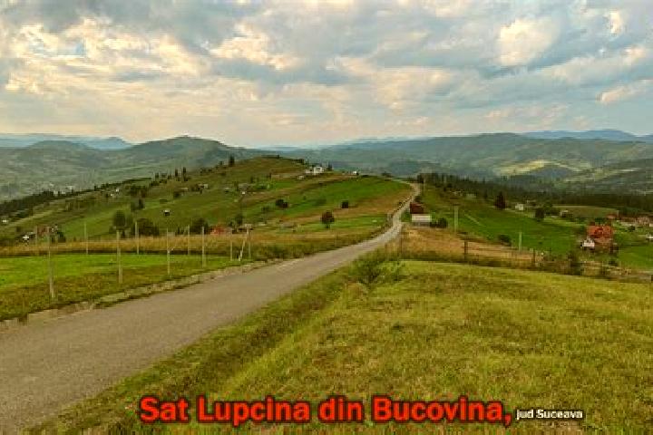 Lillian, 28 — Escort in Lupcina, Romania
