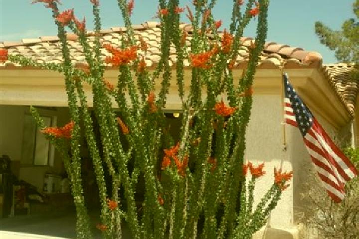 Lillian, 28 — Escort in Ocotillo, Mexico