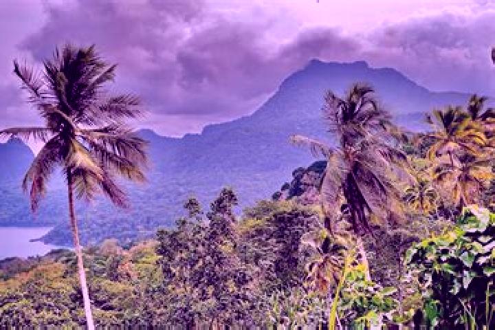 Lillian, 28 — Escort in Torres Dias, Sao Tome and Principe