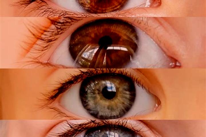 Lillian, 29, a chestnut blue-eyed mixed companion based in Praia do Ribatejo. Offering Dinner Date, Fetish, Deep French Kissing, OWO, 69. Available for incal...