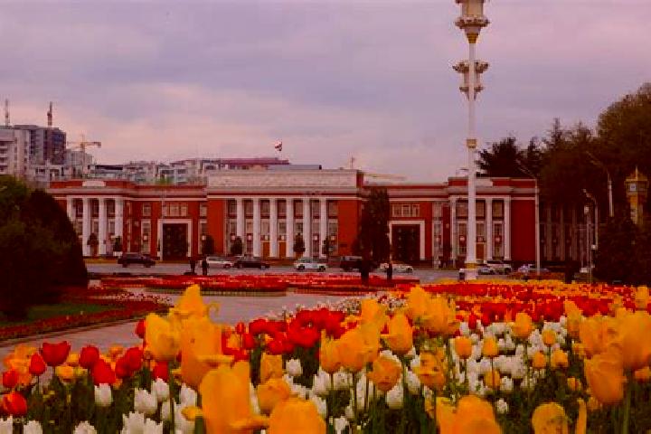 Lillian, 29 — Escort in Ismoili Somoni, Tajikistan