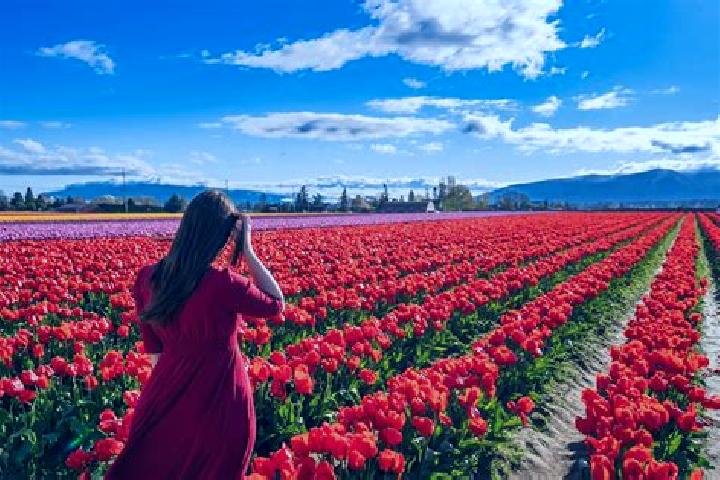 Lillian, 29 — Escort in Washington, United States