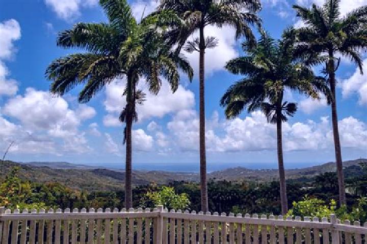 Lillian, 29 — Escort in Welchman Hall, Barbados