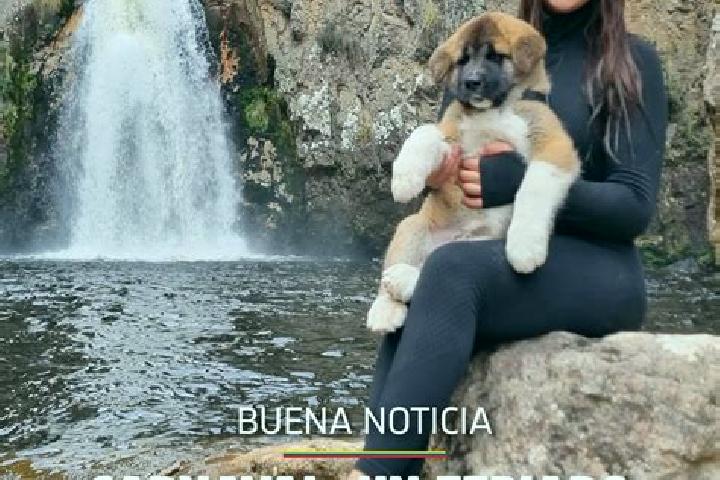 Lillian, 30 — Escort in Joseguango Bajo, Ecuador