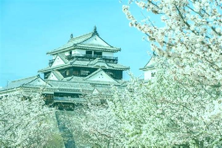 Lillian, 31 — Escort in Higashi-Matsuyama, Japan