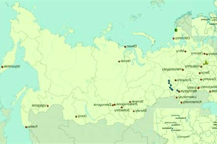 Lillian, 31 — Escort in Obruchevo, Russia