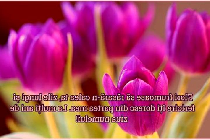 Lillian, 31 — Escort in Sambata de Jos, Romania
