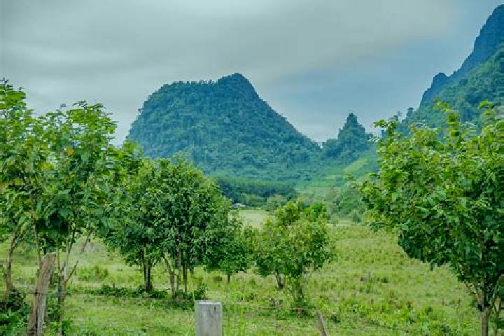 Lillian, 32 — Escort in Ban Xiang-Ngeun, Laos