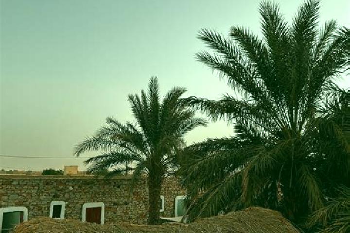 Lillian, 32 — Escort in Djowol, Mauritania