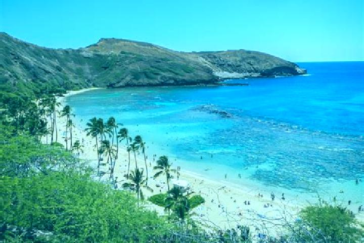 Lillian, 33 — Escort in Honolulu, United States