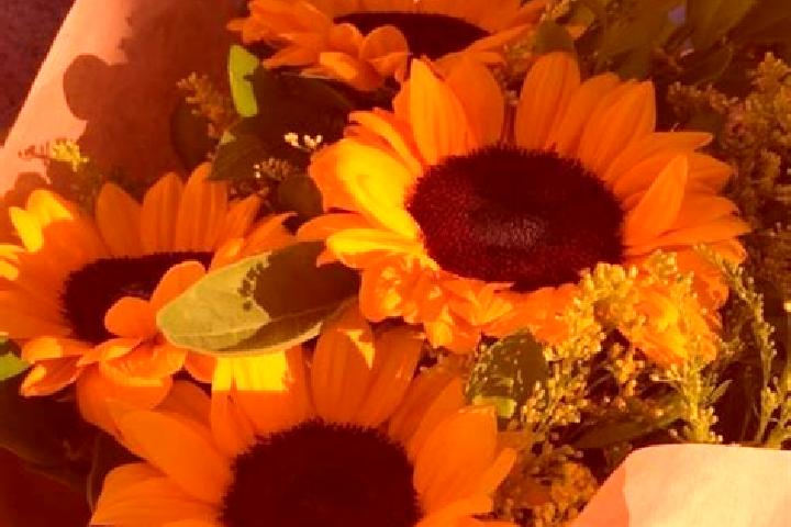 Lillian, 33 — Escort in Primorka, Russia