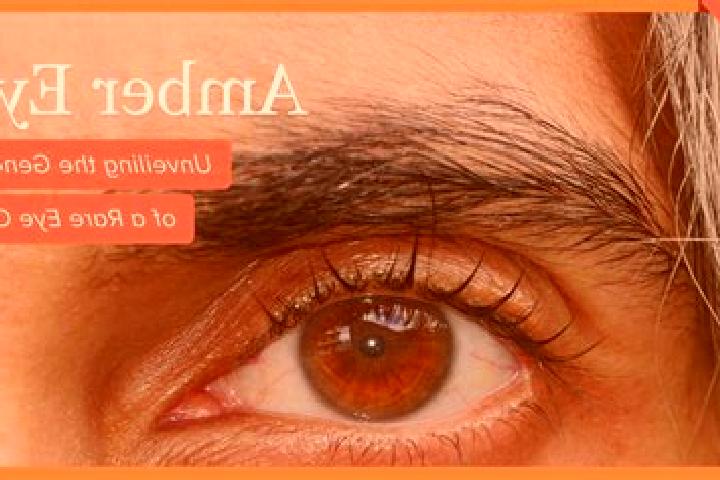 Lillian, 34, a red amber-eyed asian companion based in Shemursha. Offering 69, Deep French Kissing, Girlfriend Experience. Available for incall and outcall, ...