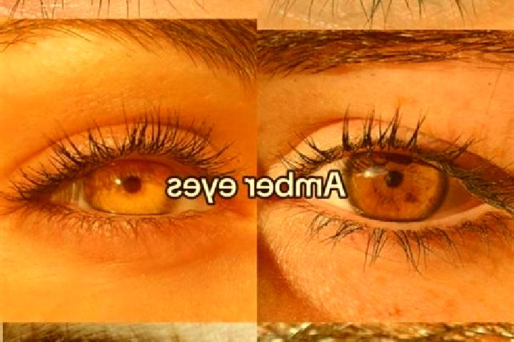 Lillian, 35, a chestnut amber-eyed indian companion based in Herenthout. Offering A-Level, Erotic Massage, Girlfriend Experience, OWO, Couples. Available for...
