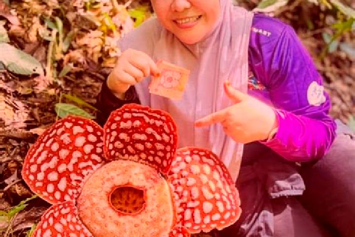 Lillian, 36 — Escort in Kampung Bongor, Malaysia