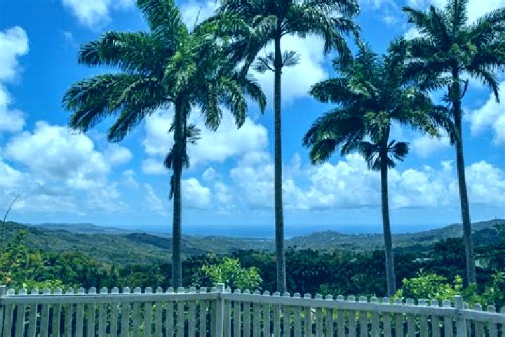 Lillian, 36 — Escort in Welchman Hall, Barbados