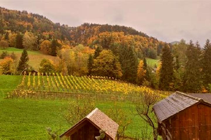 Lillian, 37 — Escort in Batschuns, Austria