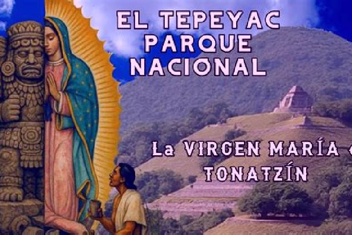 Lillian, 37 — Escort in El Tepeyac, Mexico