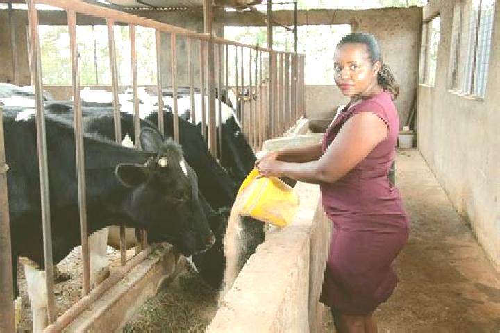 Lillian, 37 — Escort in South Kinangop, Kenya