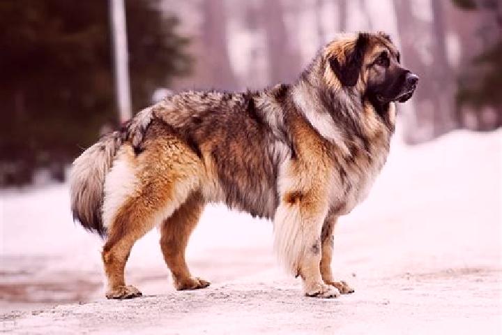 Lillian, 38, a black brown-eyed caucasian companion based in Oshikuku. Offering Striptease, Erotic Massage, Girlfriend Experience, Dinner Date. Available for...
