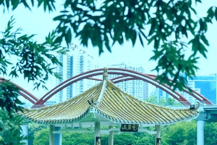 Lillian, 38 — Escort in Honghu, China