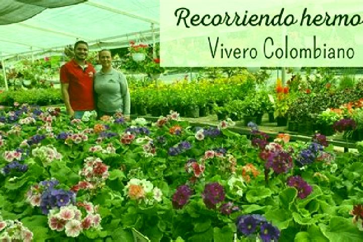 Lillian, 39 — Escort in Barrio el Vivero, Mexico