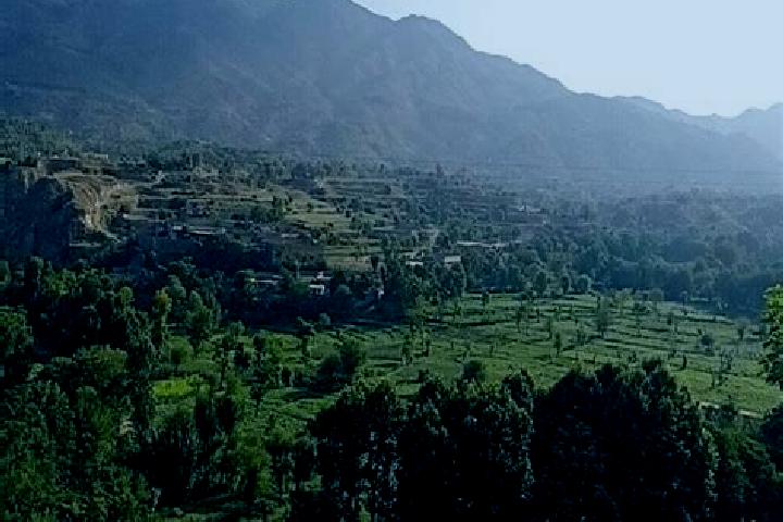Lillian, 39 — Escort in Batwar Salarzai, Pakistan