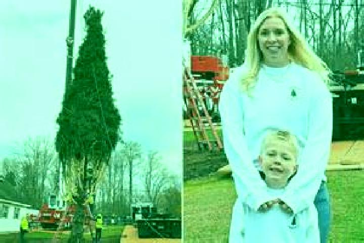 Lillian, 39 — Escort in East Greenbush, United States