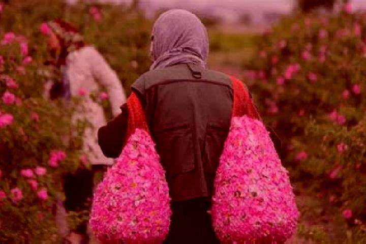 Lillian, 39 — Escort in Qamsar, Iran