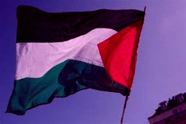 Lily, 20 — Escort in Az Zuwaydah, Palestine