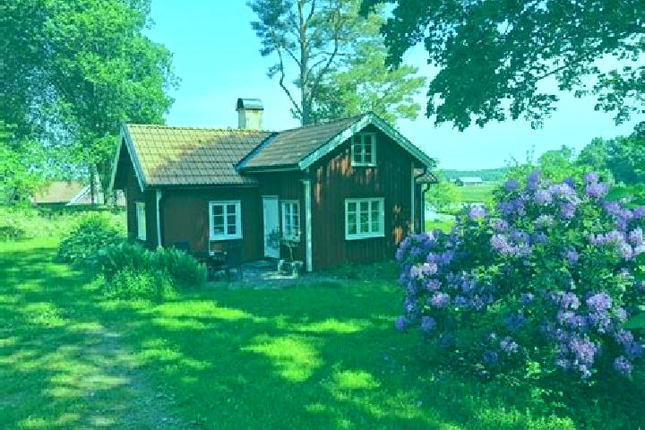 Lily, 20 — Escort in Sollebrunn, Sweden