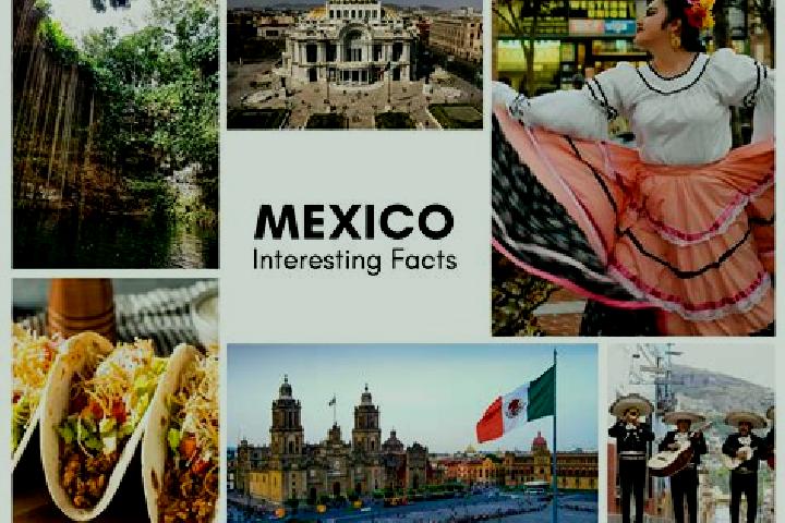 Lily, 20 — Escort in Tecalzingo, Mexico