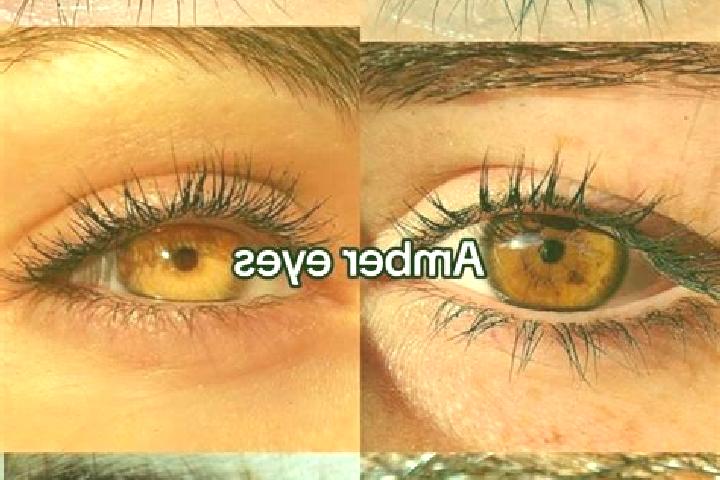 Lily, 21, a chestnut amber-eyed ebony companion based in Ludgerovice. Offering Couples, Roleplay, Prostate Massage. Available for incall and outcall, overnig...