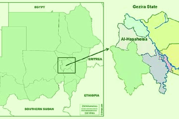 Lily, 21 — Escort in Al Hasaheisa, Sudan