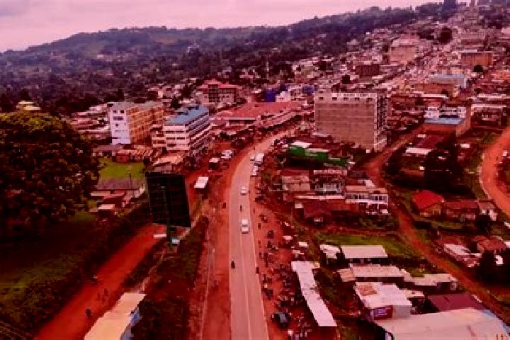Lily, 21 — Escort in Keroka, Kenya