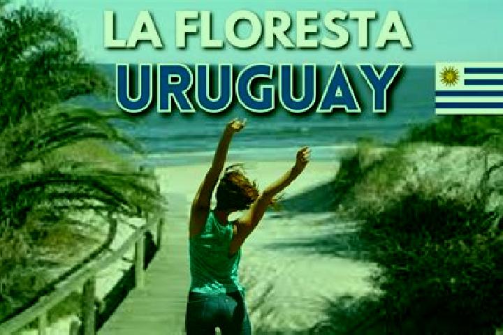Lily, 21 — Escort in La Floresta, Uruguay